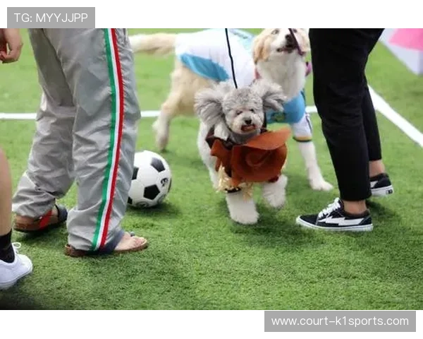 足球球星与爱犬亲密瞬间盘点 十大球员宠物曝光揭秘